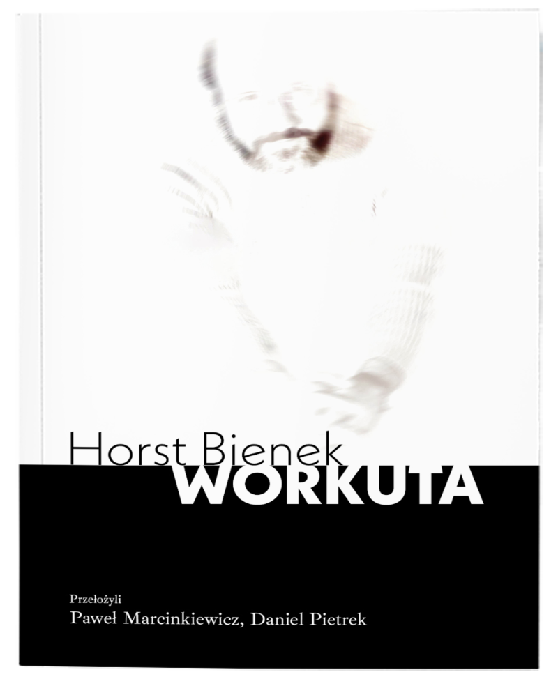 Na okładce książki Workuta Horsta Bienka znajduje się silnie prześwietlona, czarno-biała i&nbsp;rozmyta fotografia brodatego mężczyzny na&nbsp;białym tle. Dolna część okładki jest oddzielona poziomą linią, poniżej której znajduje się czarny blok z&nbsp;nazwiskami tłumaczy. Centralny napis z&nbsp;tytułem i&nbsp;nazwiskiem autora umieszczono na&nbsp;styku białego i&nbsp;czarnego pola, stosując kontrastową kolorystykę liter.